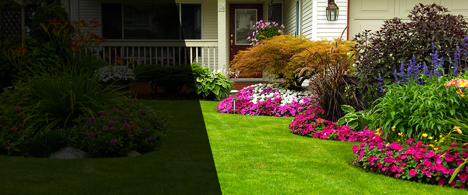 Kenyon Landscapers