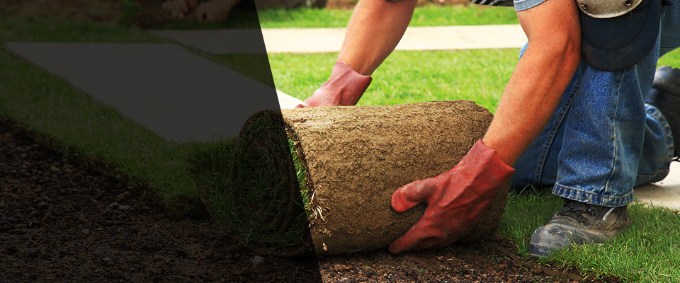 Kenyon Landscapers